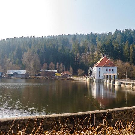 Waldmünchen Ferienhaus Nr 18B1, Feriendorf Hagbuegerl, Bayr Wald מראה חיצוני תמונה